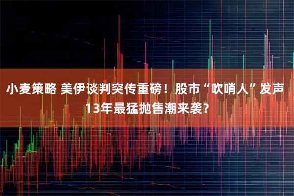 小麦策略 美伊谈判突传重磅！股市“吹哨人”发声 13年最猛抛售潮来袭？