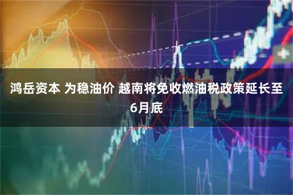 鸿岳资本 为稳油价 越南将免收燃油税政策延长至6月底
